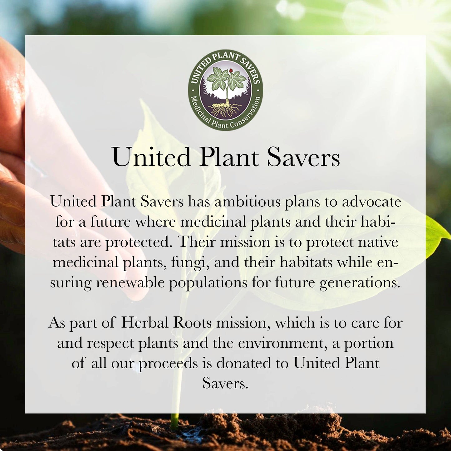 Herbal Roots Organic Turmeric Curcumin Capsules